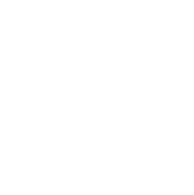 santa-veronica-giuliani-logo