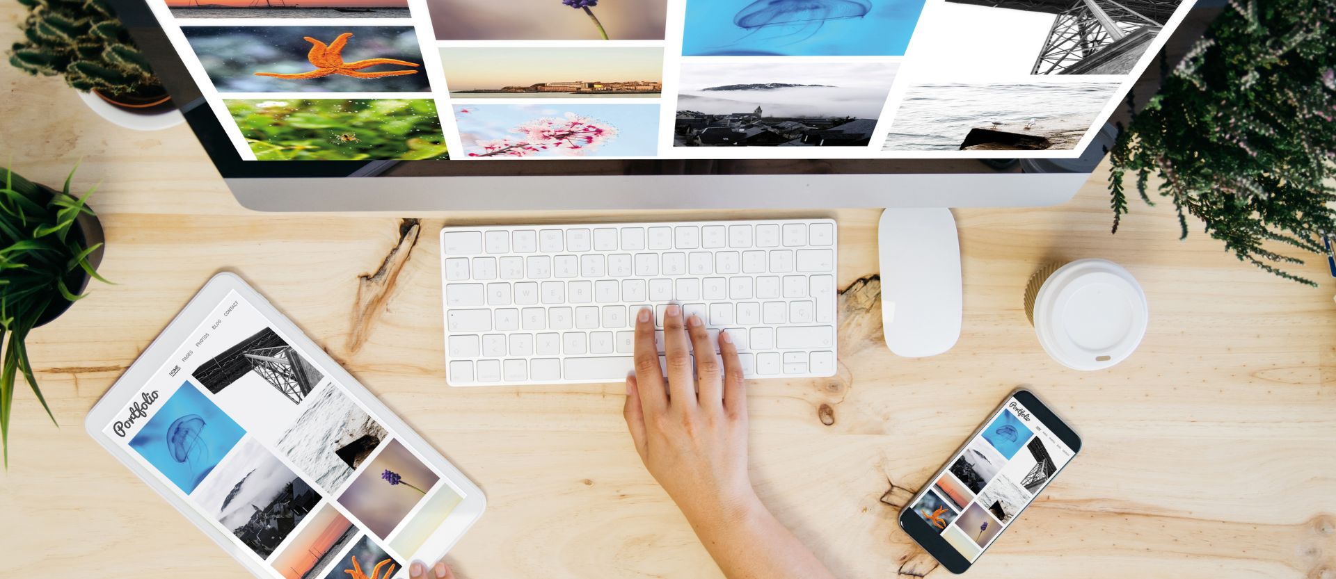 portfolio web design